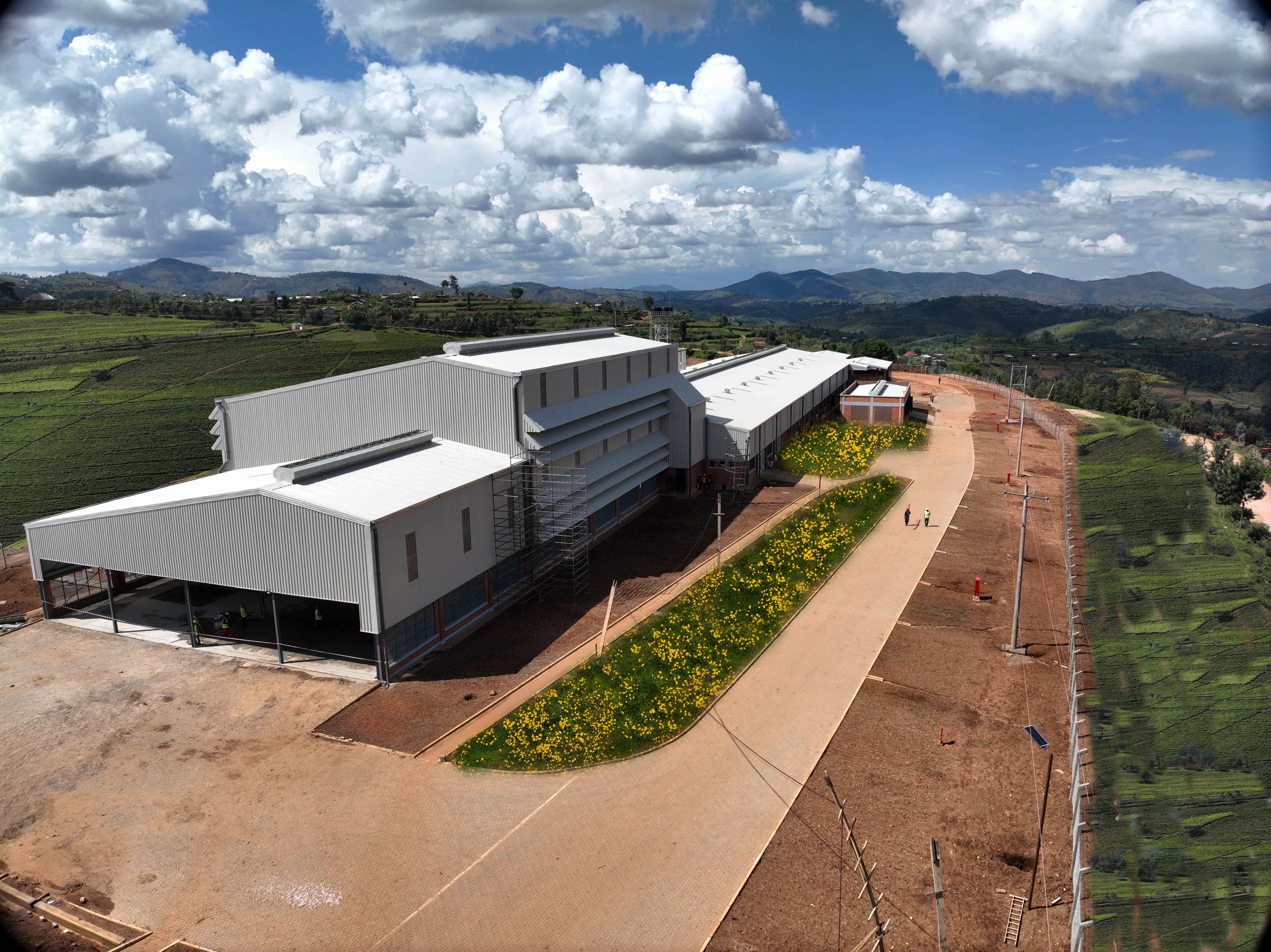 Ekaterra Tea Factory detail 2